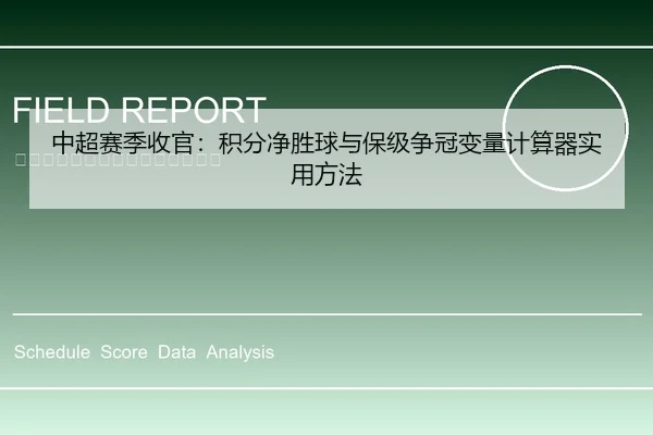 中超赛季收官：积分净胜球与保级争冠变量计算器实用方法 | leyu